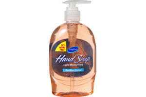 CareOne Light Moisturizing Antibacterial Hand Soap