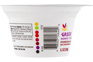 Ahold Greek Nonfat Yogurt Pomegranate