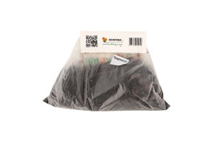 Бульба Жоржина Кельвін Флудлайт декоративна Яскрава