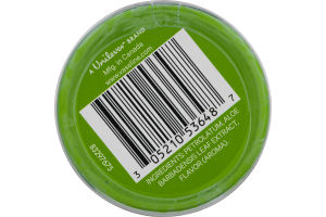 Vaseline Lip Therapy Aloe