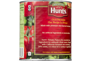 Hunt's Paste