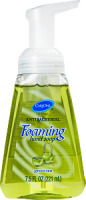 CareOne Antibacterial Green Tea Foaming Hand Soap
