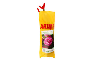 Саженцы Роза акция пакет