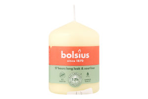 Свічка стовпчик мікс 80х50мм №5555 Bolsius 1шт