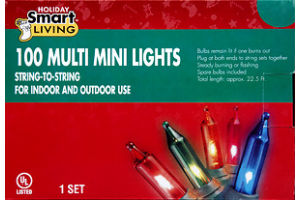 Smart Living Holiday 100 Multi Mini Lights