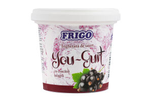 Морозиво FRIGO 300 г Йо-гурт Чорна смородина (Молдова) И533