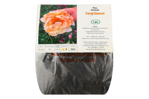 Кореневище Півонія Корал Сансет трав"яниста Яскрава