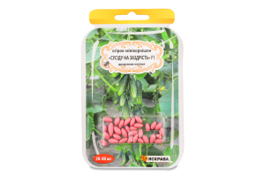 Насіння Огірок Сусіду на заздрість F1 дражоване 3г Яскрава