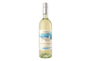 Вино 0.75л 10.5% біле напівсолодке Bianco Amabile Terra Italianica пл