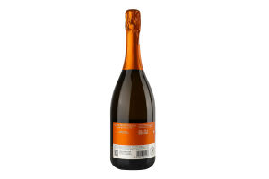 Вино ігристе 0.75л 12% біле брют Riesling Terre Bentivoglio пл