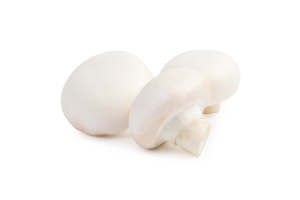 Гриби Печериці вагові