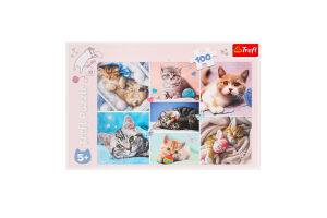 Пазл 100елементів в асортименті Трефль