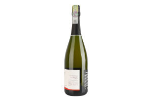Шампанское 0.75л 12% белое сухое AOC Брют Premier Cru Pierre Trichet бут