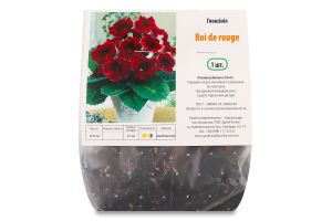 Бульба Глоксінія Рой де Руж Яскрава