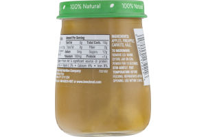 Beech-Nut Naturals Just Pineapple, Kale, Apple & Carrot Stage 2