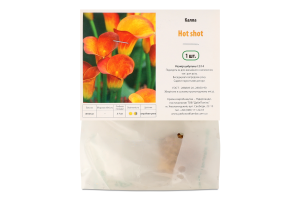 Цибулина Калла Хот шот Яскрава