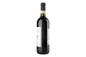 Вино 0.75л 13% червоне сухе DOCG К'янті Terra Italianica пл