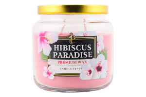 Свічка ароматична Hibiscus paradise 350г скло Пако ІФ