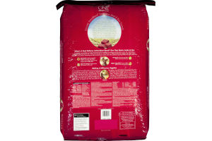 Purina One SmartBlend Small Bites Beef & Rice Formula Adult Premium Dog Food