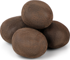 Картопля Либідь фіолетова