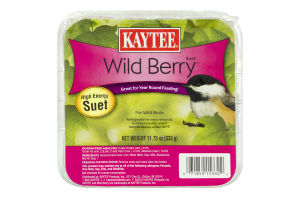 Kaytee Wild Berry High Energy Suet For Wild Birds