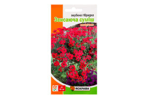 Насіння Квіти Вербена гібридна звисаюча суміш 0,1г Яскрава