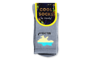 Носки муж Cool Socks Карта Украины серый р.25-27