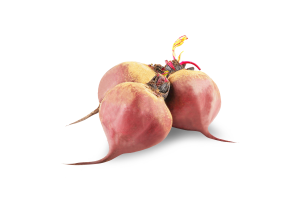 Свекла молодая