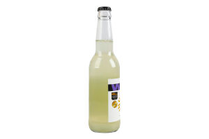 Напій газований комбуча WILD Kombucha бузина-троянда
