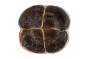 Колбаса Печеночная Ле Філе в/с кг