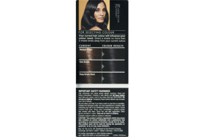 John Frieda 2N Luminous Natural Black Precision Foam Permanent Colour