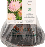 Бульба Жоржина Київ декоративна Яскрава