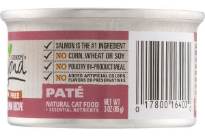 Purina Beyond Natural Cat Food Wild Salmon Recipe Pate