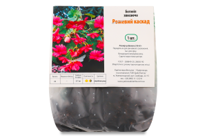 Бульба Бегонія Рожевий каскад звисаюча Яскрава