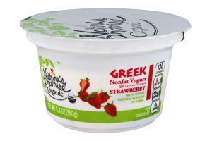 Nature's Promise Greek Nonfat Yogurt Strawberry