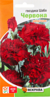 Насіння Квіти Гвоздика Шабо Червона 0,1г Яскрава