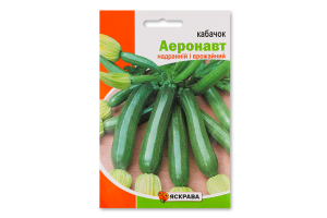 Насіння Кабачок Аеронавт пакет гігант 20г Яскрава