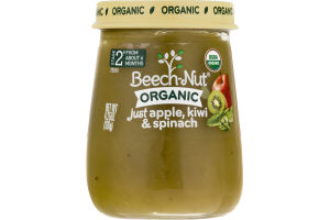 Beech-Nut ORGANIC Stage 2 Just Apple, Kiwi & Spinach