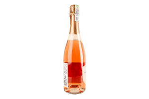 Вино 0.75л 10.5% розовое сухое Spumante Secco Rosato Provetto бут
