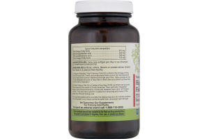 Nature's Promise High Potency Fish Oil - 90 CT