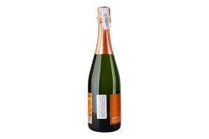 Вино игристое 0.75л 11.5% белое брют Cava Dibon бут