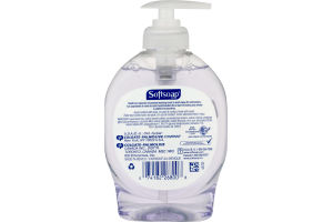 Softsoap Hand Soap