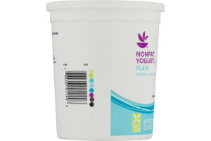 Ahold Nonfat Yogurt Plain