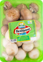 Шампиньоны Дуэт в/с Українські печериці лоток 1кг