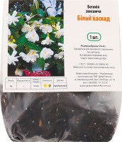 Бульба Бегонія Білий каскад звисаюча Яскрава
