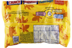 Nestle Assorted Minis