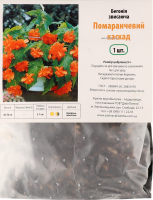 Бульба Бегонія Помаранчевий каскад звисаюча Яскрава