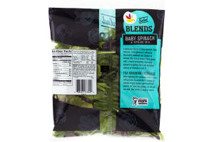 Ahold Salad Blends Baby Spinach & Spring Mix