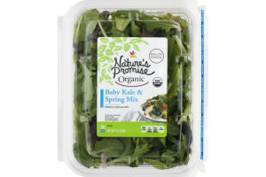 Nature's Promise Organic Baby Kale & Spring Mix