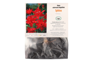 Цибулина Лілія Сфінкс азіатська подвійна Яскрава
